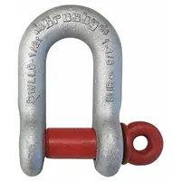 CROSBY D-Shackle: Chain Shackle, 24,000 lb Working Load Limit, 2 1/32 in Wd Between Eyes, Silver (MPN 1019356)
