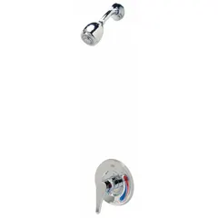 This ZURN Temp Gard III Z7301 shower faucet includes a fixed showerhead made of stainless steel with a polished chrome finish. It delivers a flow rate of 2.5 gpm, suitable for residential or commercial bathroom installations requiring consistent water delivery.