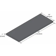 This phenolic shelf from INSTOCK measures 16 inches in length, 5 feet in width, and 1 inch in height. It is black in color and constructed from phenolic material, providing a chemical-resistant surface suitable for laboratory benchtops or shelving systems.
