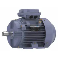 MARATHON MOTORS Metric Motor: 4 hp, Rigid Base Mount, 132S Frame Size, Totally Enclosed Fan Cooled (MPN TCA0033AE211GAA009)