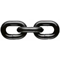 PEWAG Chain: 1/2 in Trade Size, 80 Chain Grade, Alloy Steel, 12,000 lb Working Load Limit, Straight (MPN SA13/40)