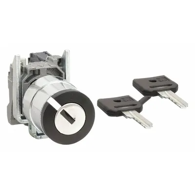 SCHNEIDER Selector Switch: 2 Position, 22 mm Panel Mounting Size, 1NO - Panel-Mounted Key Switches with Contacts