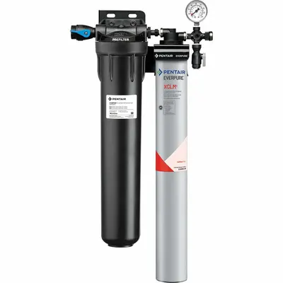 EVERPURE Water Filtration System: 5 micron, 2 gpm, FNPT, 28 3/8 in Overall Ht, 9,300 gal - Multi-Purpose Water Filter Systems