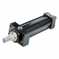 PARKER Hydraulic Cylinder: 40 mm Bore Dia., 250 mm Stroke Lg, 3/8 Inch BSPP Port Size, Double Acting (MPN 40THMIRL14M250M1100)