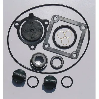 OEM Seal Kit: Mfr Part #, Dayton - Seal Kits for Dewatering & Wastewater Pumps
