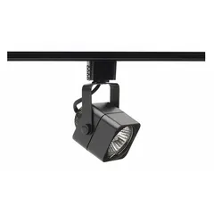 Cube-shaped track head for accent or directional lighting. Incandescent, 50 W, black housing. Dimensions: 2 1/4 in diameter, 3 1/4 in length. Suitable for commercial and residential spaces.