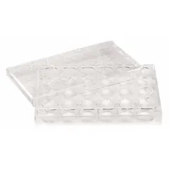 This 48-well cell culture plate is made from colorless polystyrene and features a tissue-culture-treated surface to promote cell attachment. Each well has a 1 mL capacity. The plate is sterile and RNase/DNase free, suitable for cell growth, assays, and storage in sensitive biological experiments.