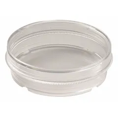 Polystyrene petri dish with a 70 mm diameter and 15 mm overall height. Features a tissue culture treated surface for cell adhesion and a grip ring for easy handling. Sterile and suitable for cell culture, microbial cultivation, and laboratory assays.