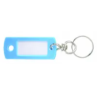 Key Tag: 50 Key Tags, Rectangle, Blue, Plastic, Blank Label, 2 in Overall Ht, 50 PK (MPN 16830)