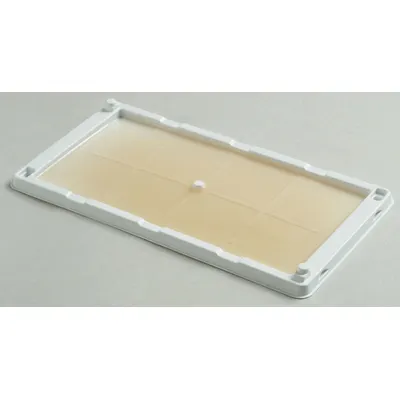 CATCHMASTER Glue Trap: Glue Trap, Adhesive, 10 1/4 in Overall Ht, 5 1/4 in Overall Wd - Rodent Traps