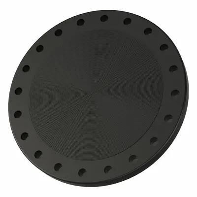 OEM Metal Pipe Flange: 20 in - Blind Iron Pipe Flanges
