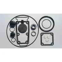 APPROVED VENDOR Seal Kit: Mfr Part # 24D051, Dayton