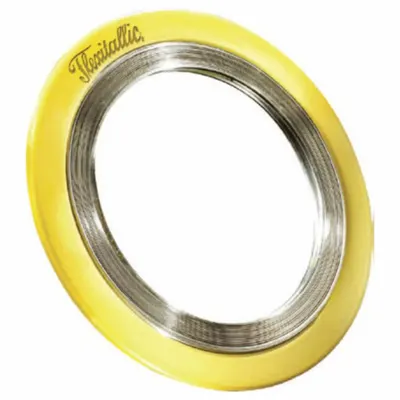 FLEXITALLIC Spiral Wound Flange Gasket: Graphite Filler, 304 Stainless Steel Winding - Graphite Spiral-Wound Gaskets