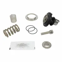 WILKINS Valve Repair Kit: EPDM/Resin/Rubber/Stainless Steel, Mfr Part # RK1-625XL3