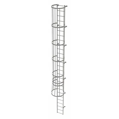TRI-ARC Fixed Ladder with Safety Cage: 26 ft Overall Ht, 18 in Overall Wd, Steel - Safety Cage Fixed Ladders