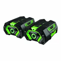 Battery Pack: 5 Ah Battery Capacity, 56V ARC Lithium™, Tabbed, 2 Batteries Included, 56V DC (MPN BA2800T-2)