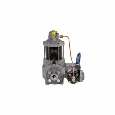 FILL-RITE Positive Displacement Flowmeter,3/4 inSz (MPN TS06AS83AUPXXT9N) - Meters for Fuel Transfer Pumps