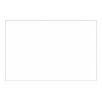 Block Out Label,4x6",White: 500 PK (MPN DL1384W)