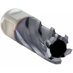 This annular cutter is made of high-speed steel with a TiCN coating. It has a 13/16 in cutter diameter and a 1 in max cutting depth, with a Weldon Flat shank for fractional inch measurements. Used for general metal cutting applications such as creating clean holes in steel.