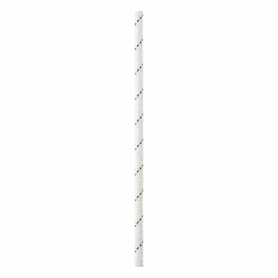 PETZL Shock-Absorbing Rope, 5/16 in Dia, 300 lb WLL, Nylon, White (R076AA03)