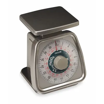TAYLOR Dial Scale: 6 in Weighing Surface Dp, 5 1/4 in Weighing Surface Wd - Food Scales