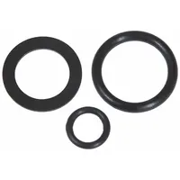 BRADLEY Gasket Kit (MPN S65-153GR)