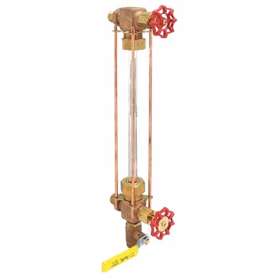 APOLLO Water Gauge: Bronze, 5/8 in Gauge Glass Dia, 12 in Gauge Glass Lg - Tube-Style Sight Glasses with Check Valves
