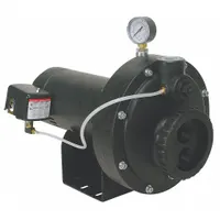 DAYTON Convertible Well Jet Pump: Thermoplastic, Single Phase, 115/230V AC, 1 hp, 100 ft Head (MPN 4HEZ6)