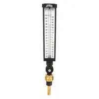 WINTERS Industrial Glass Thermometer: -40°F to 110°F /-40°C to 40°C, +/-1% Accuracy, 3.5 in Stem Lg (MPN TIM101ALF.)