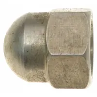 DAYTON Imperller Nut: Fits Dayton Brand, For //, For PPTLS0716G