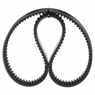 Dayton Cogged V-Belt: 1922V484, 49 in Outside Lg, 1 3/16 in Top Wd, 22° Groove Angle - Variable Speed Belts