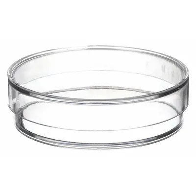 OEM Petri Dish: 150 mm Dia, 20 mm Overall Ht, Tissue Culture Treated, Lid, Polystyrene - Petri Dishes