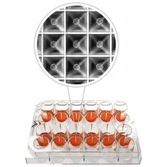 This sterile 24-well plate features round wells with a 2 mL capacity, made from Cyclic Olefin Copolymer. It is designed for cell culture applications such as cell growth, assays, and screening in life science research.