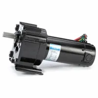 LEESON Parallel Shaft Gearmotors: Parallel, 12V DC, TENV, 31 RPM, 220 in-lb Max Torque, 58:1, 10.6 A (MPN M1125218.00)