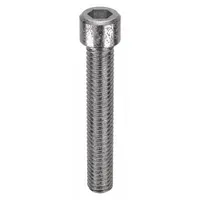 Socket Head Cap Screw: 5/16"-18 Thread Size, 2 in Lg, Std, NL-19, Stainless Steel, 18-8, 25 PK (MPN FBSCAPS516182P25)