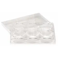 This 6-well cell culture plate is made of colorless polystyrene and features a tissue-culture-treated surface to promote cell attachment. Each well has an 8 mL capacity. The plate is RNase/DNase free, suitable for cell culture applications such as adherent cell growth, assays, and sample storage.