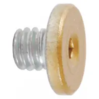 Brass cover screw designed for use with LCN 4040SE series door closers. Used to replace or secure the closer cover, maintaining proper closure operation and appearance in commercial or industrial door applications