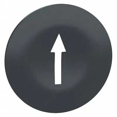SCHNEIDER Push Button Head: 22 mm Panel Size, Non-Illuminated, Arrow - Heads for Push Buttons