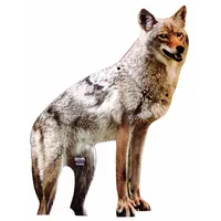 BIRD-X Coyote Decoy: Targets Ducks/Geese/Rodents, 1 acre Coverage Area, Coyote Form (MPN COYOTE)