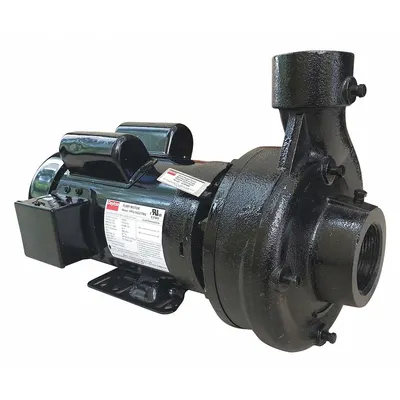 Dayton Centrifugal Pump: 3 hp, 230V AC, 87 ft Max Head, 2 1/2 in - 2 to 3 HP Straight Centrifugal Pumps