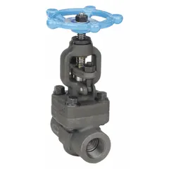 Carbon steel straight-body globe valve with Z-body design, non-rising stem, and 1-1/2 inch FNPT x FNPT female connections. Suitable for general service applications including steam media where flow regulation and shut-off are required.
