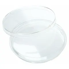 This sterile polystyrene petri dish features a tissue culture treated surface to support cell attachment and growth. The integrated grip ring facilitates secure handling. With a 100 mm diameter and 15 mm overall height, it is suitable for general laboratory cell culture applications.