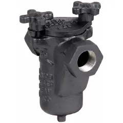 Cast iron basket strainer with 304 stainless steel screen (0.062 in openings) and Buna-N gasket. Single NPT connection in 3/8 in size. Used in water lines to remove debris and protect downstream equipment such as pumps and valves.