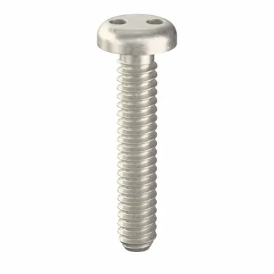 TAMPER-PRUF SCREW Tamper Resistant Screw: #6-32 Thread Size, 3/4 in Lg, Stainless Steel, Plain - Pan Head Tamper-Resistant Machine Screws
