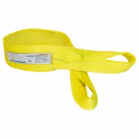 STREN-FLEX Web Sling: Type 4, Polyester, 2 Plies, 3 ft Sling Lg, 11,500 lb Vertical Hitch Capacity (MPN EET-2-904PHV)