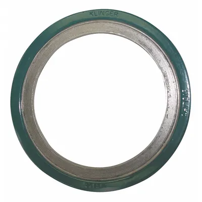 OEM Graphite spiral-wound gasket with 304 stainless steel winding - Graphite Spiral-Wound Gaskets