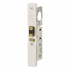 Galvanized steel hinged door lock with gray finish. Bolt-on design for securing access to wire partition enclosures in industrial settings.