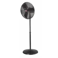 DAYTON Freestanding Fan: 30 in Blade Dia, 2 Speeds, 1/4 hp Motor HP, Non-Oscillating, 120V AC (MPN 1RWB5)