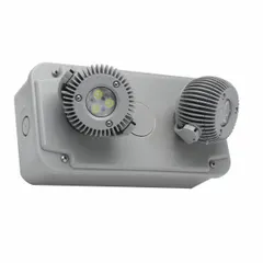 Polycarbonate remote head for emergency lighting in damp or outdoor areas. Features two adjustable 6 W LED lamps, operates at 12.8 V, and mounts on wall, ceiling, or end. Gray housing, compatible with DYN12-4X power supply.