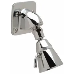 Fixed replacement shower head for institutional showers. Bronze construction with chrome finish. 1/2-inch FNPT connection. Variable flow orifice maintains constant 1.5 gpm flow rate. Includes mounting screws.